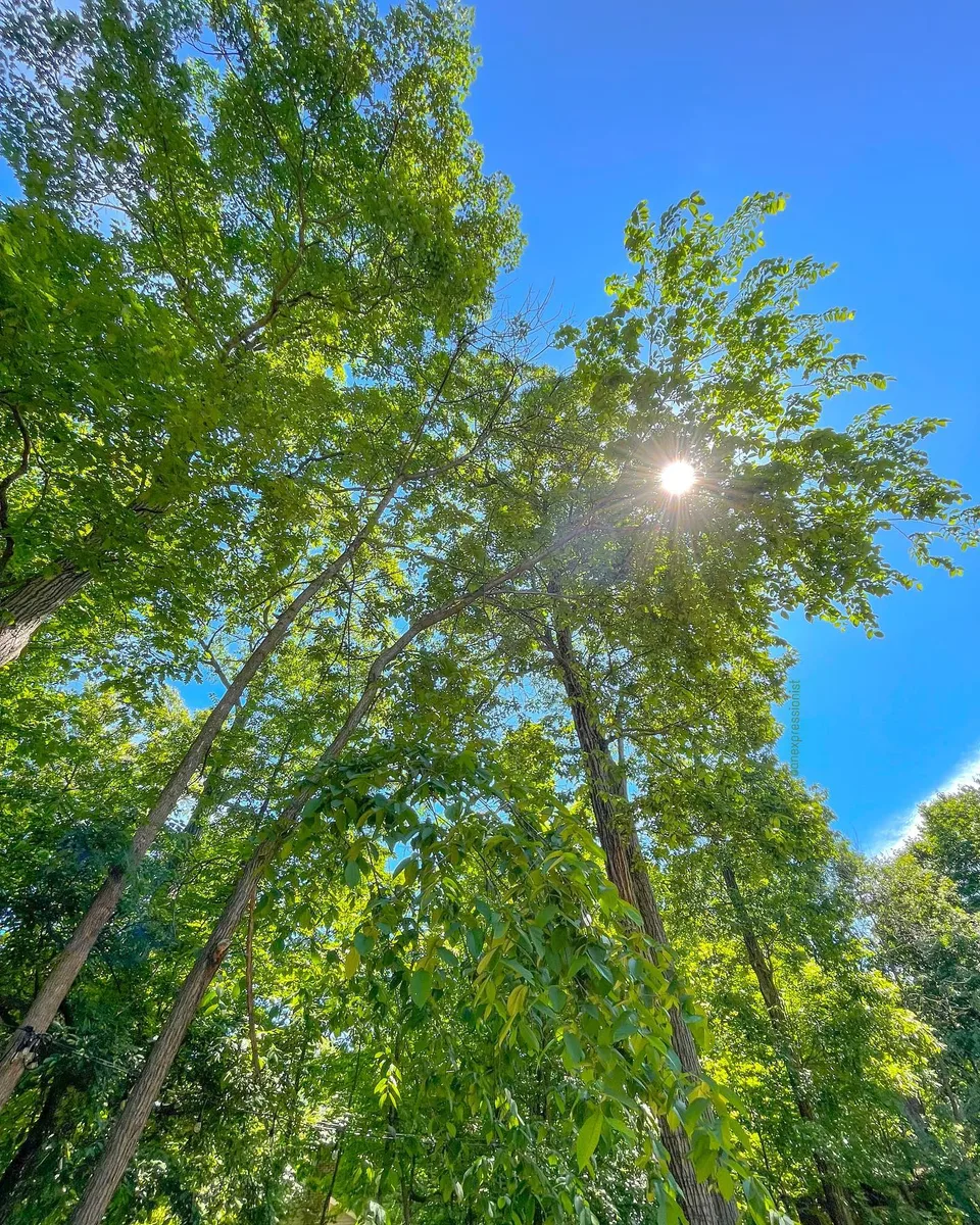 Hello sunshine, 1 of 1