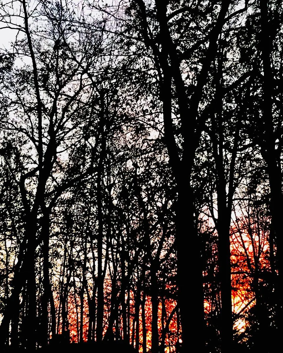 A burning desire... #sunset #monochrome #orangehues #blackandwhite #orange…, 1 of 1