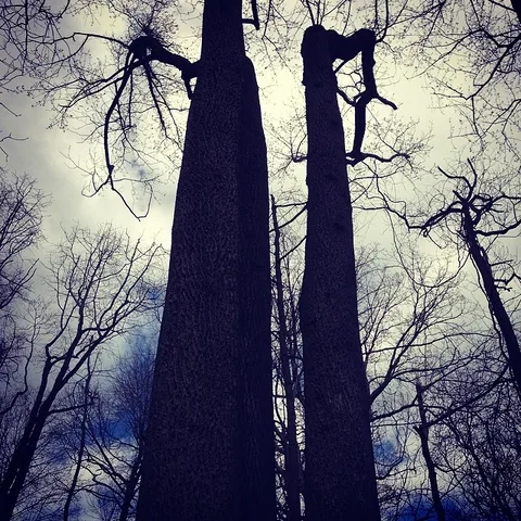 Reaching high #seriescontrastingdrama, 1 of 1