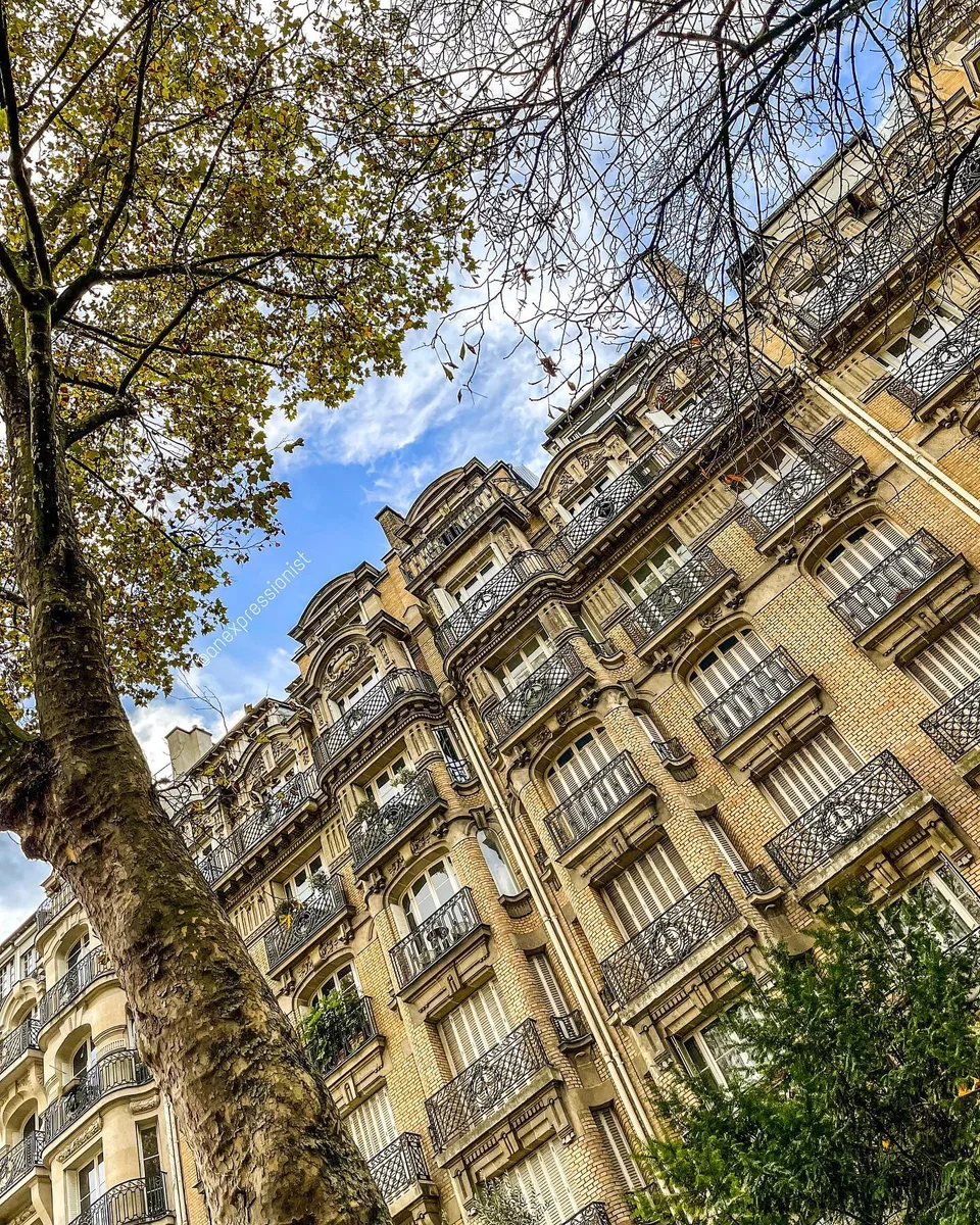 Haussmann houses, 1 of 1