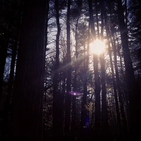 The mighty star!, 1 of 1