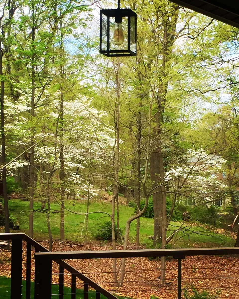 A leaf for every wish, a smile for every leaf... #spring #green #blossom…, 1 of 1