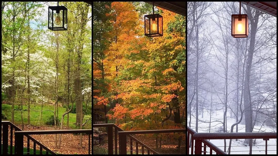 The only constant is change... #seasons #life #spring #fall #winter…, 1 of 1