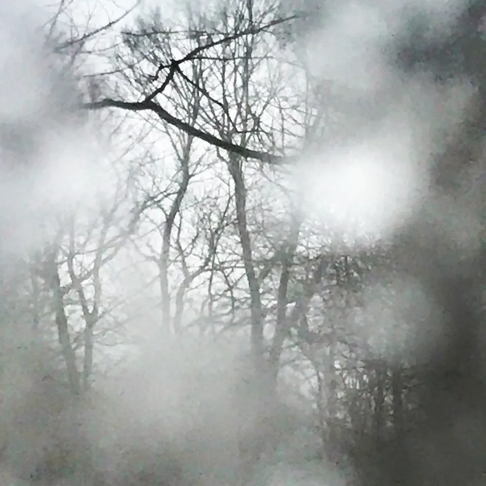 How can something so #icy be so #beautiful ❤️️#love #naturesart #iceonmywindow…, 4 of 4