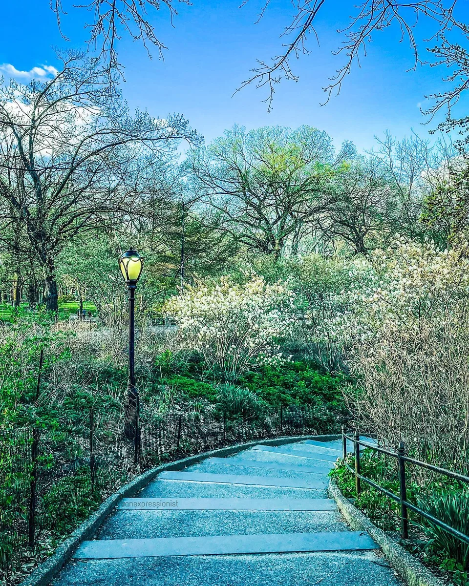 A walk in the Park, 1 of 1