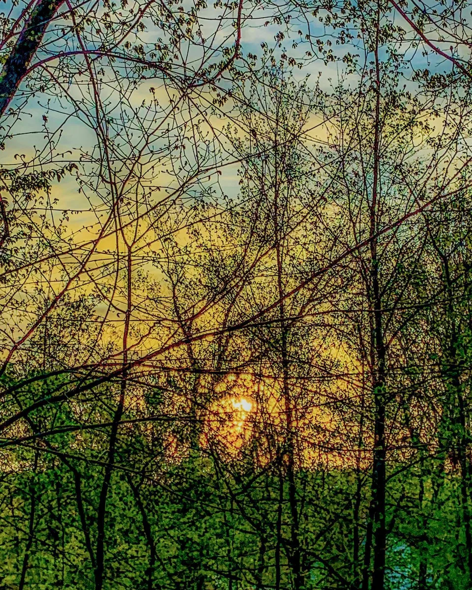 Sun salutations., 1 of 1