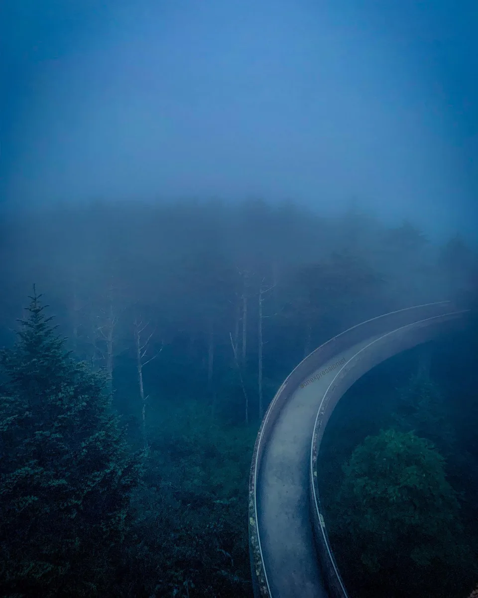 Misty Lane, 1 of 1