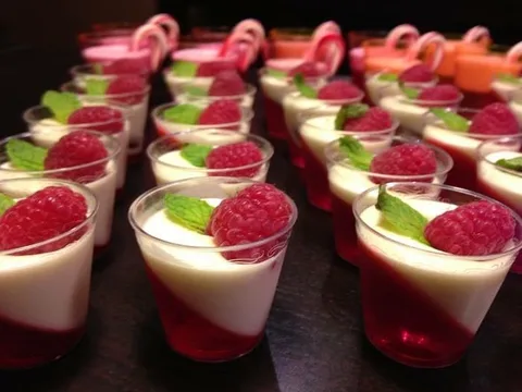Raspberry jelly with vanilla panna cotta., 1 of 1