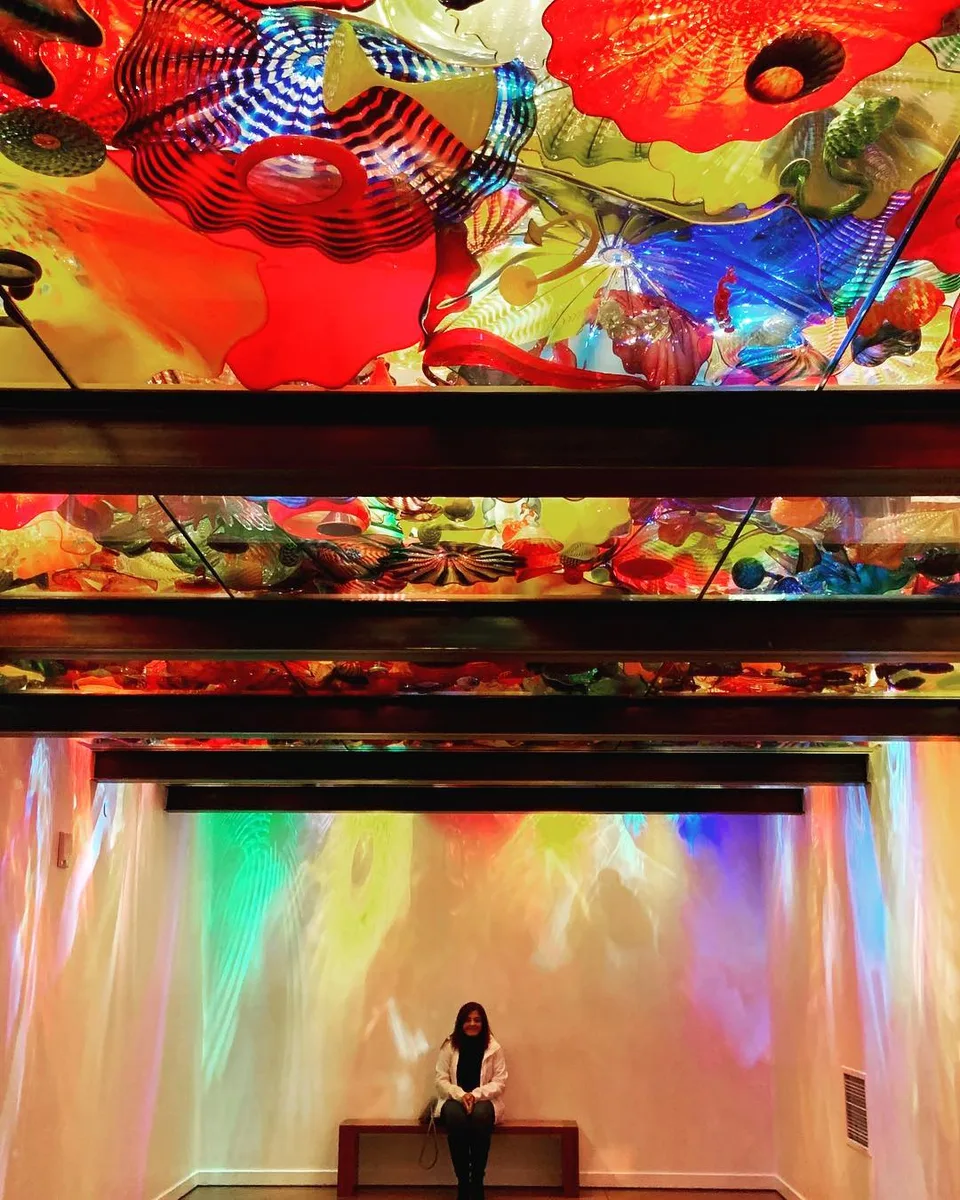Not gonna break this glass ceiling!, 1 of 1