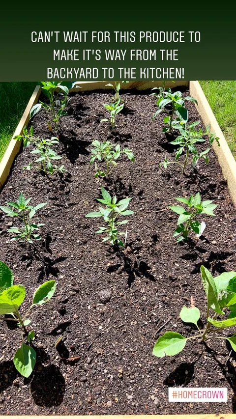 CAN’T WAIT FOR THIS PRODUCE TO MAKE IT’S WAY FROM THE BACKYARD TO THE KITCHEN!
