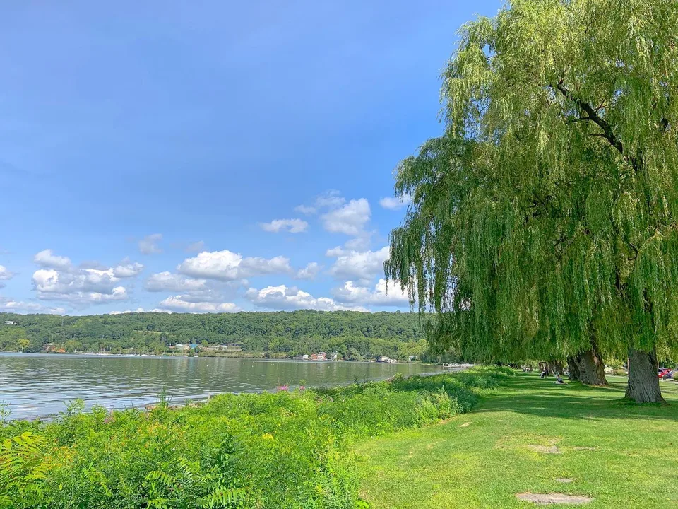 Willows of views, 1 of 1