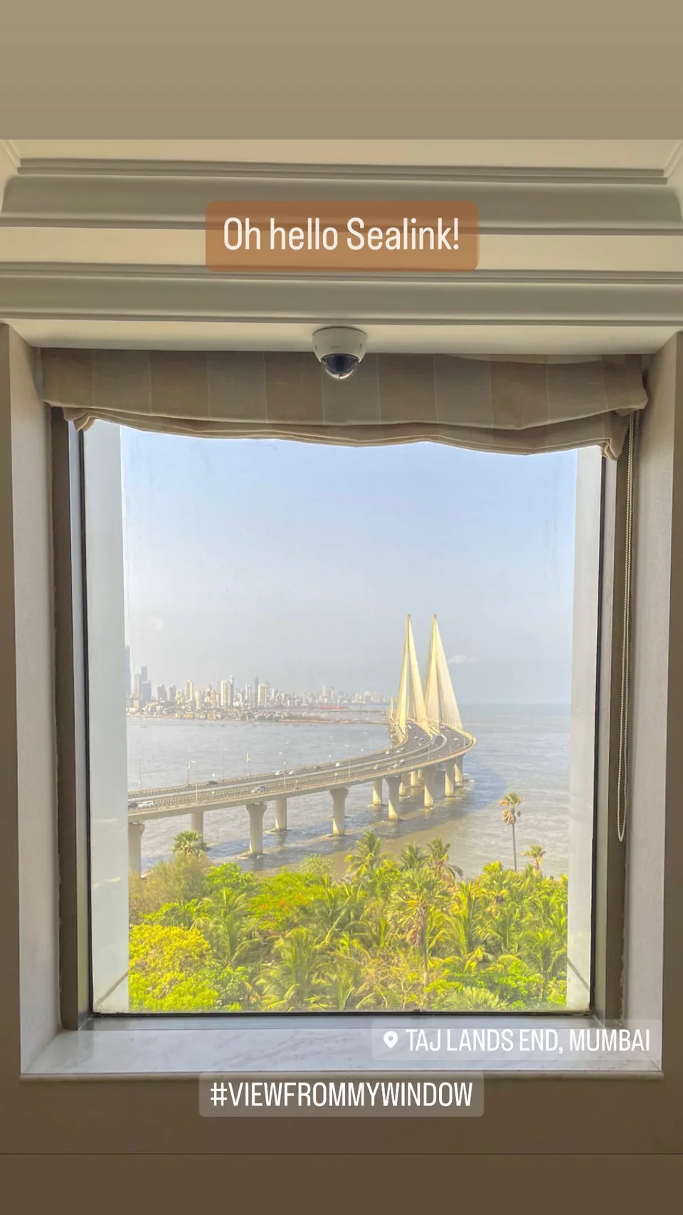 Oh hello Sealink!