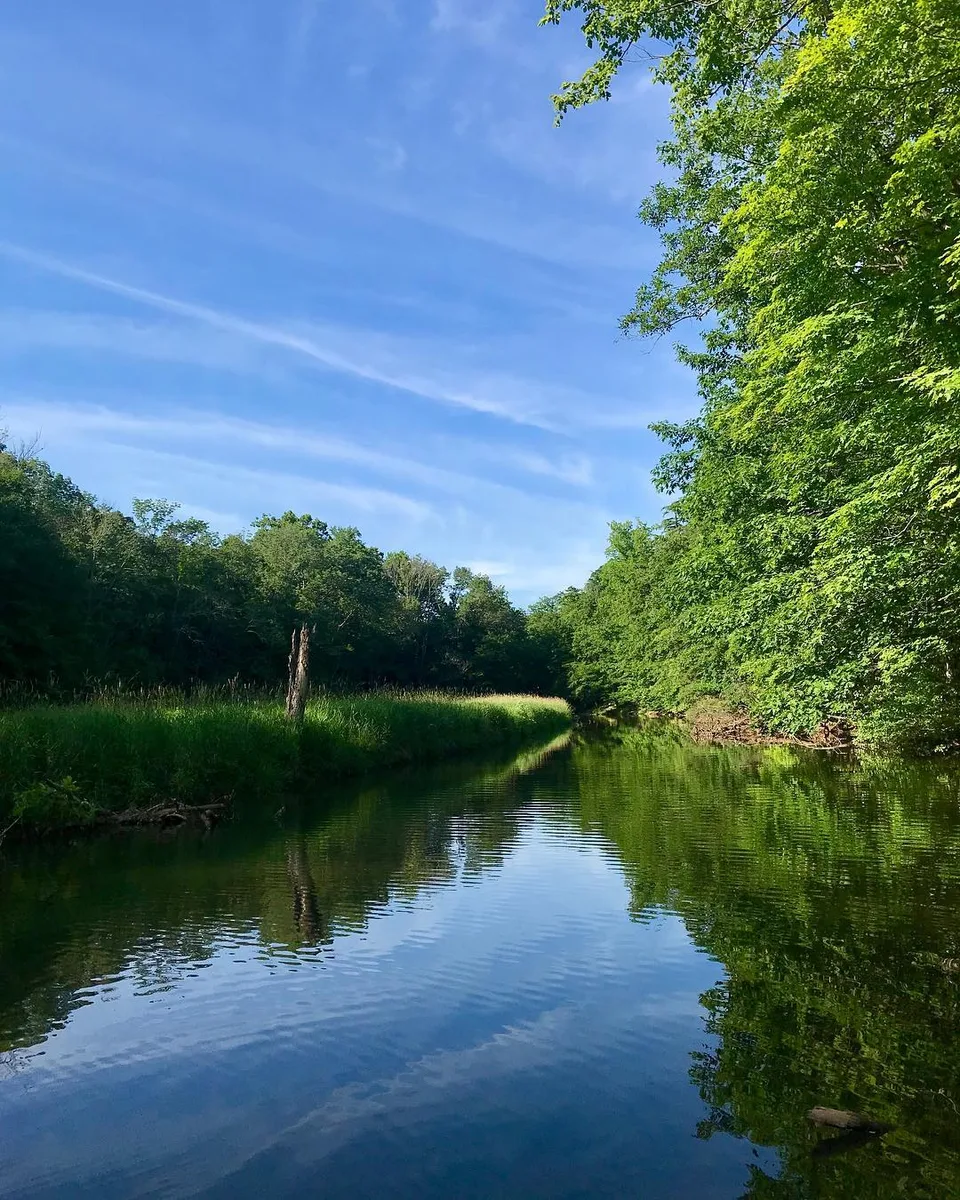 Walking the rocks and tree trunks to stand over water and get this view..., 1 of 1