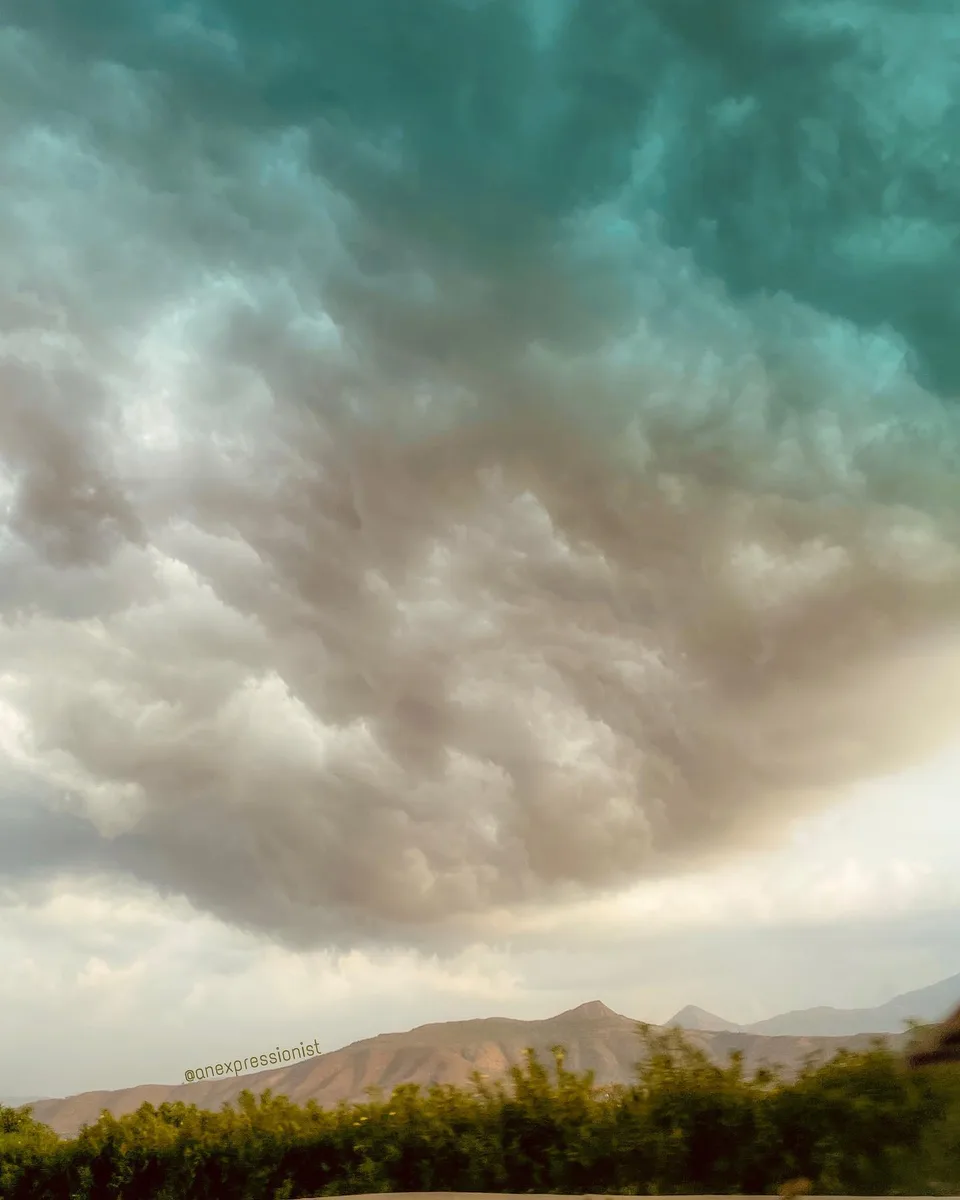 Chasing the storm, 1 of 1