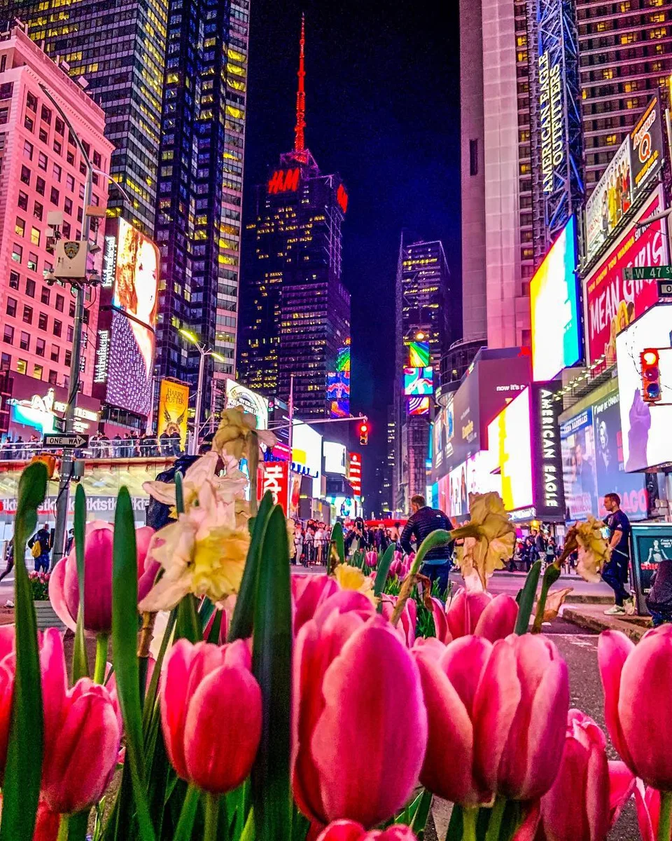 Spring in the City., 1 of 1