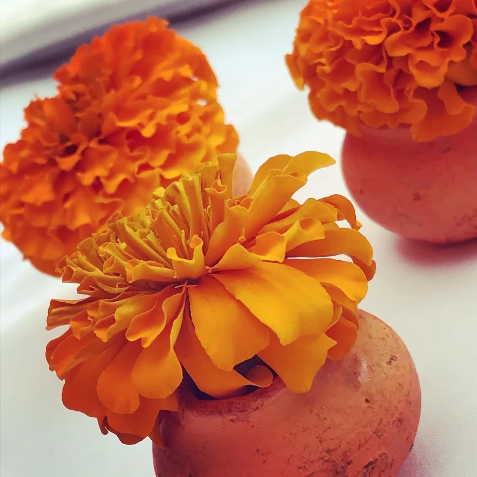 Purely peaceful #marigolds #welcoming #decor #rangeelorajasthan #jaisalmer…, 1 of 1