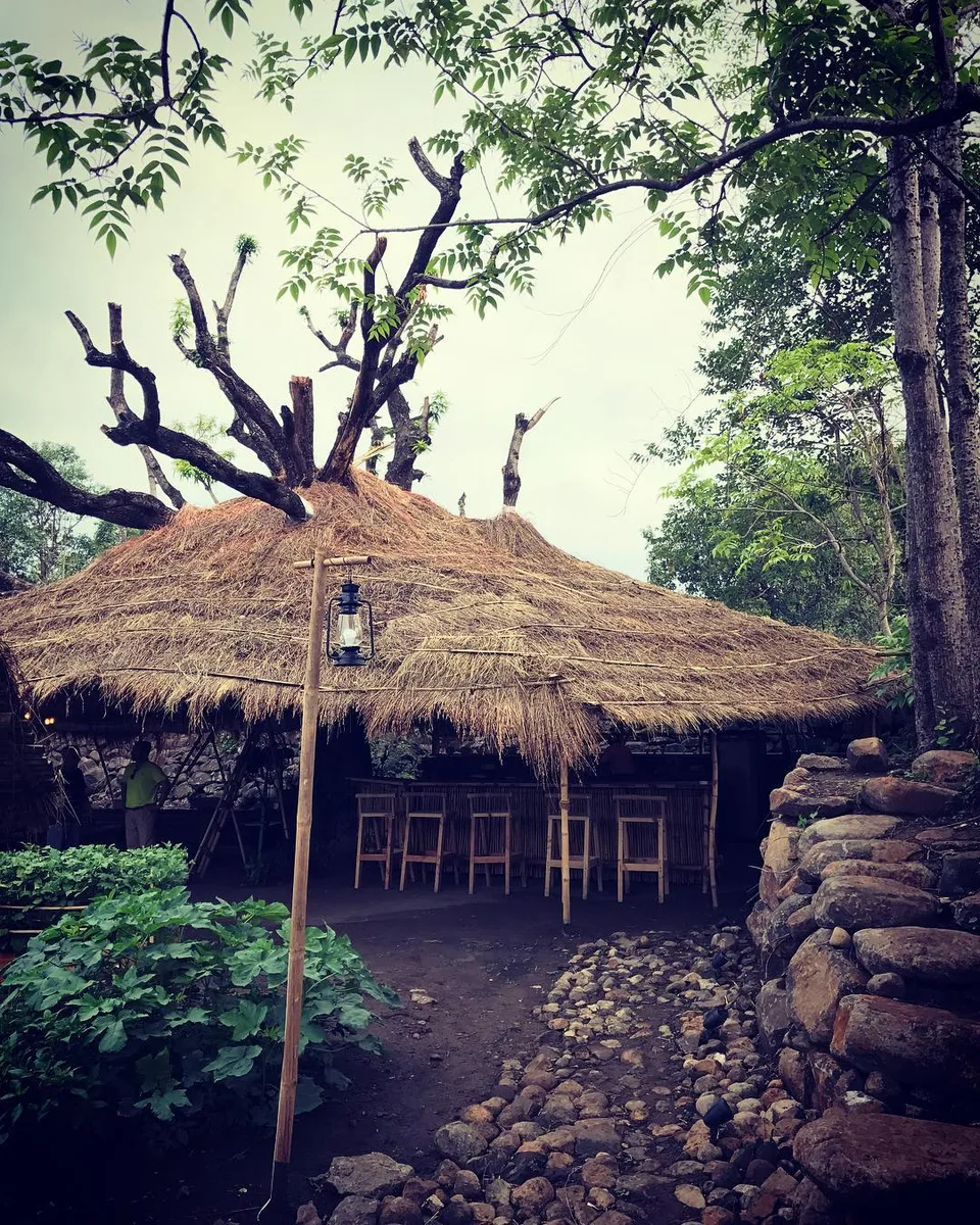 Repurposed nature š#themangotree #pallodfarms #farmkitchen #backtonatureā¦, 1 of 1