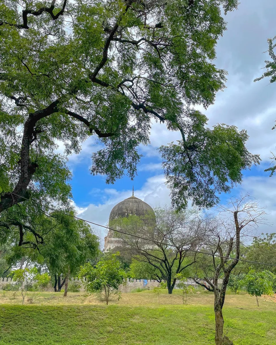 Rest in beauty, 1 of 1