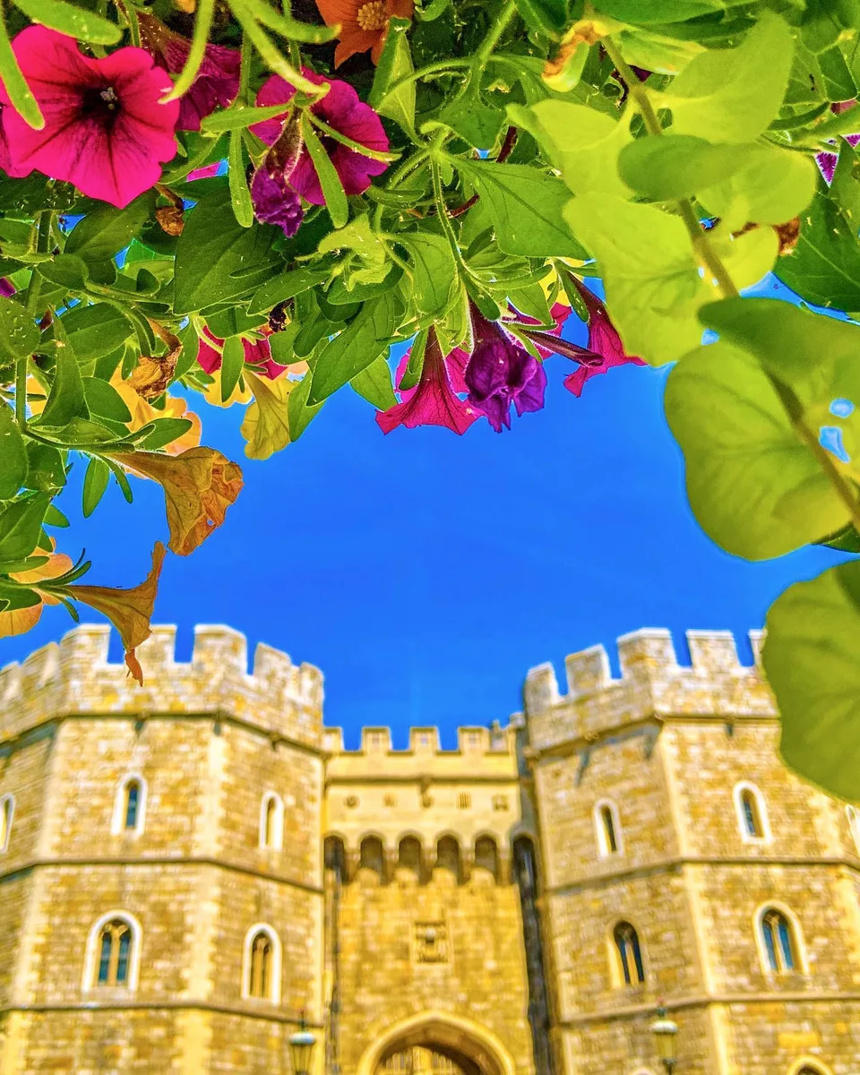 Castle dreams., 1 of 1