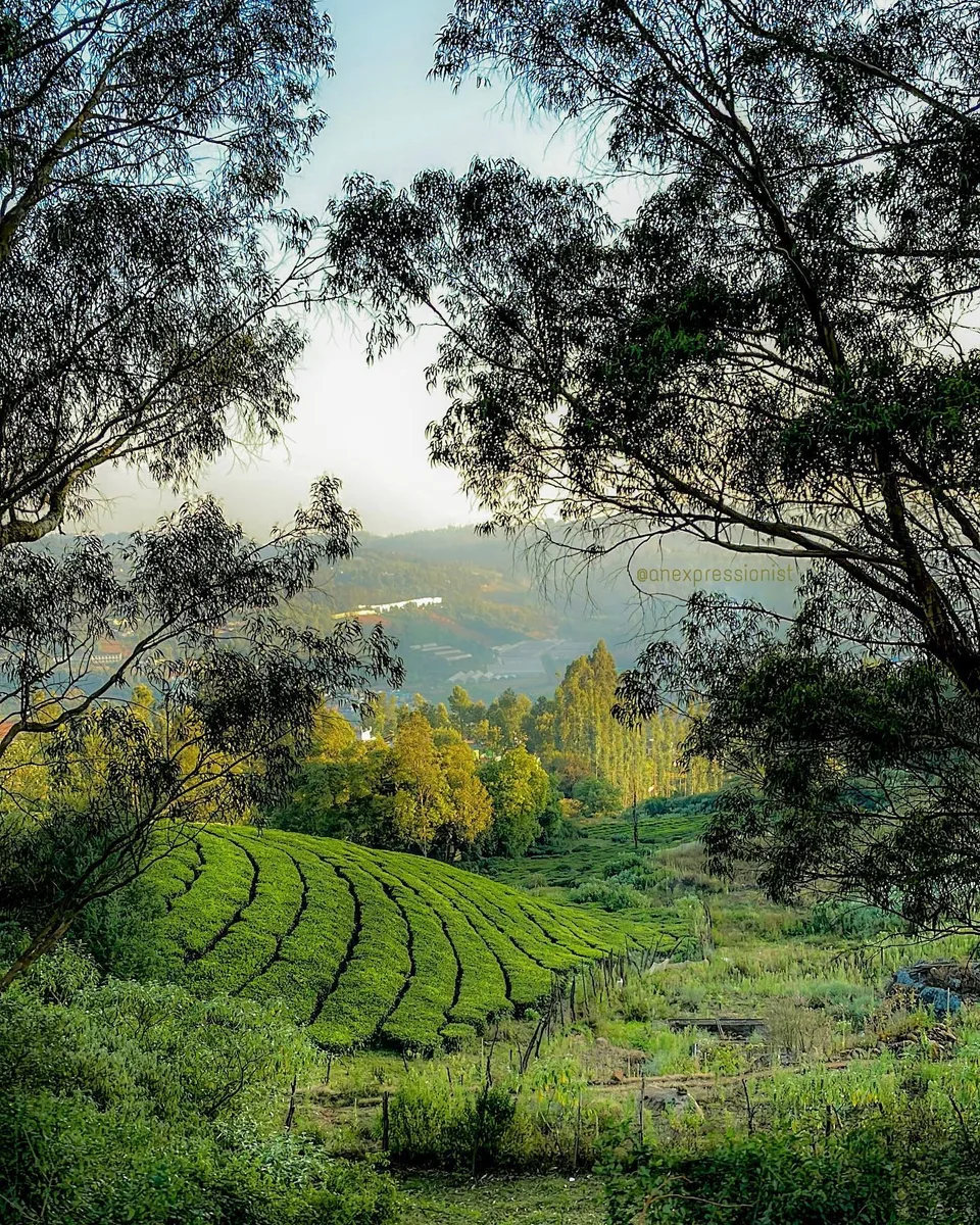 When the hills come calling, 1 of 1