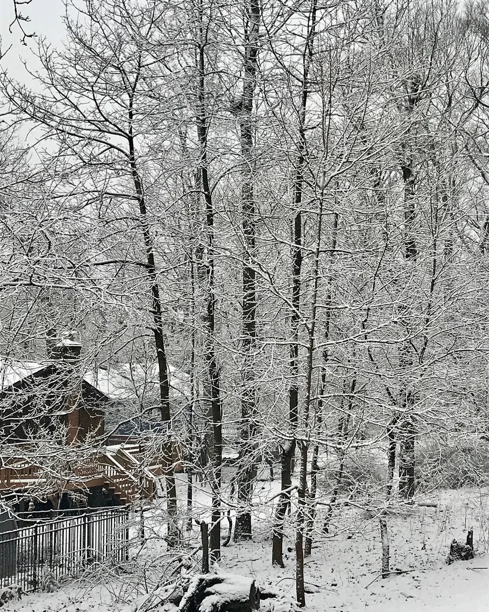 Waking up to a winter wonderland..., 1 of 1