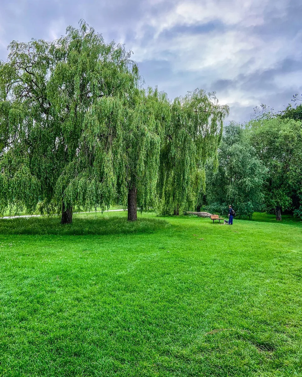 Keeping the mind and soul green., 1 of 1