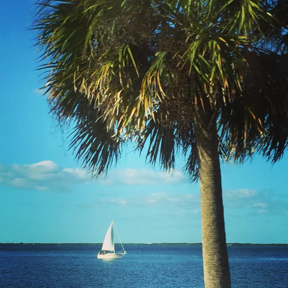 Island blue #clearwaterbeach #nehalimayephotography, 1 of 1