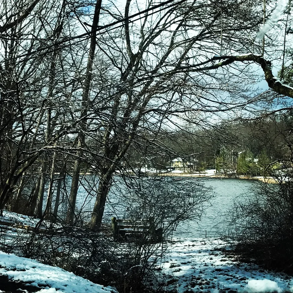 #beautiful from every angle... #walkbythelake #seriessnowyfrostyicings…, 2 of 4