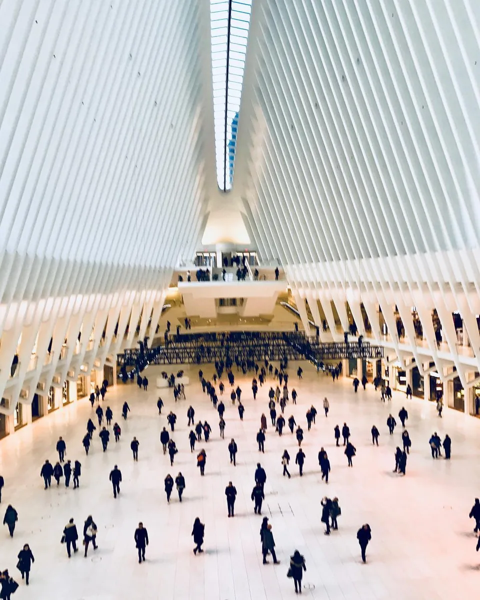 The lifestream of a city... Walking through the Oculus at The World Trade…, 1 of 1