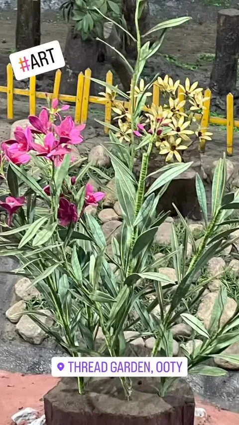 A plant with flowers? Look again!
This is a piece of art. Thread art at its best.
