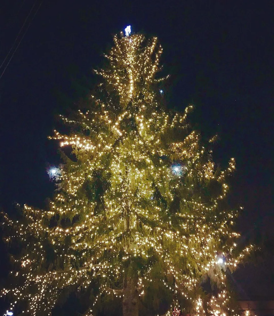 It’s that time of the year again... #mostwonderfultimeoftheyear #christmas…, 1 of 1