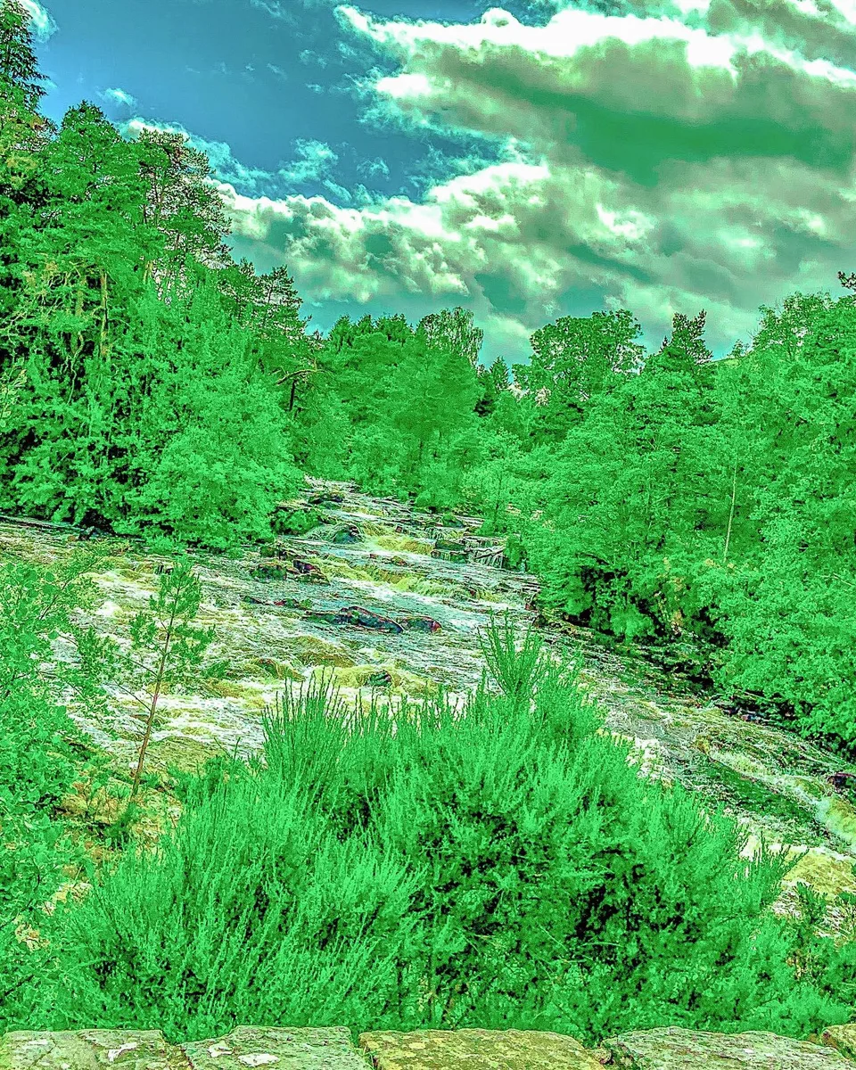 “Waited on the line of greens and blues., 1 of 1