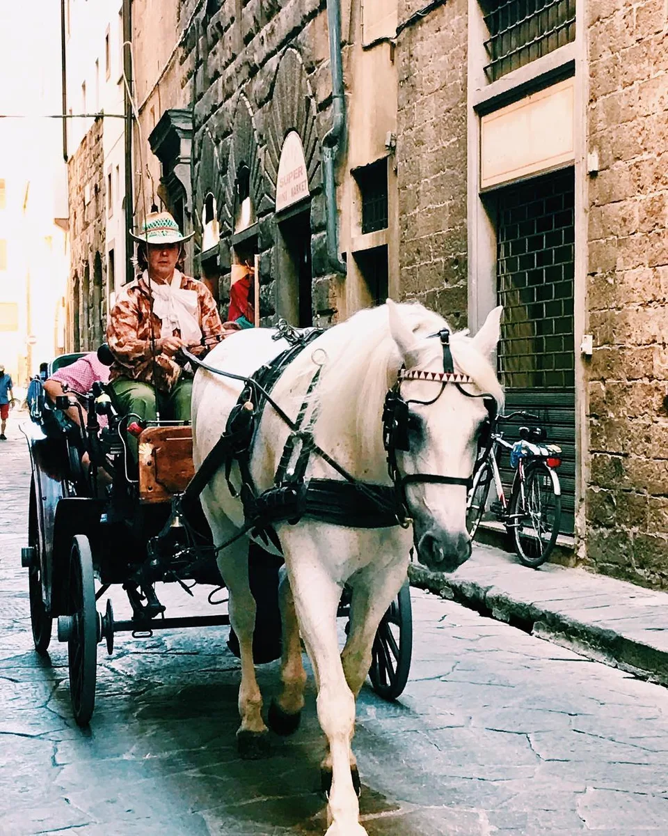 My chariot... #fascinatingflorence #florence #romantic #firenze #fallinginlove…, 1 of 1