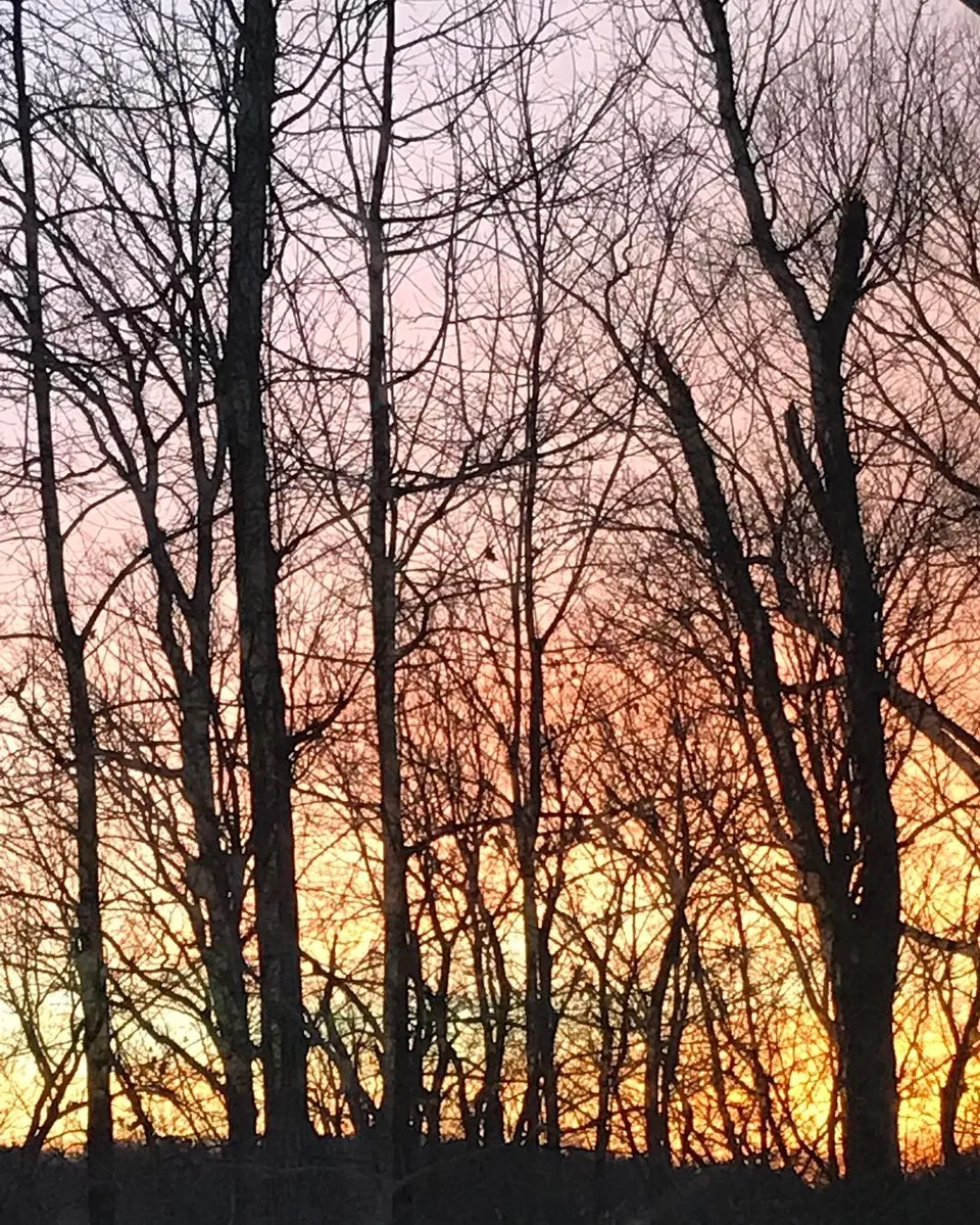 Painting #mondaymorning with mesmerizing shades... #naturescanvas #beautiful…, 1 of 1