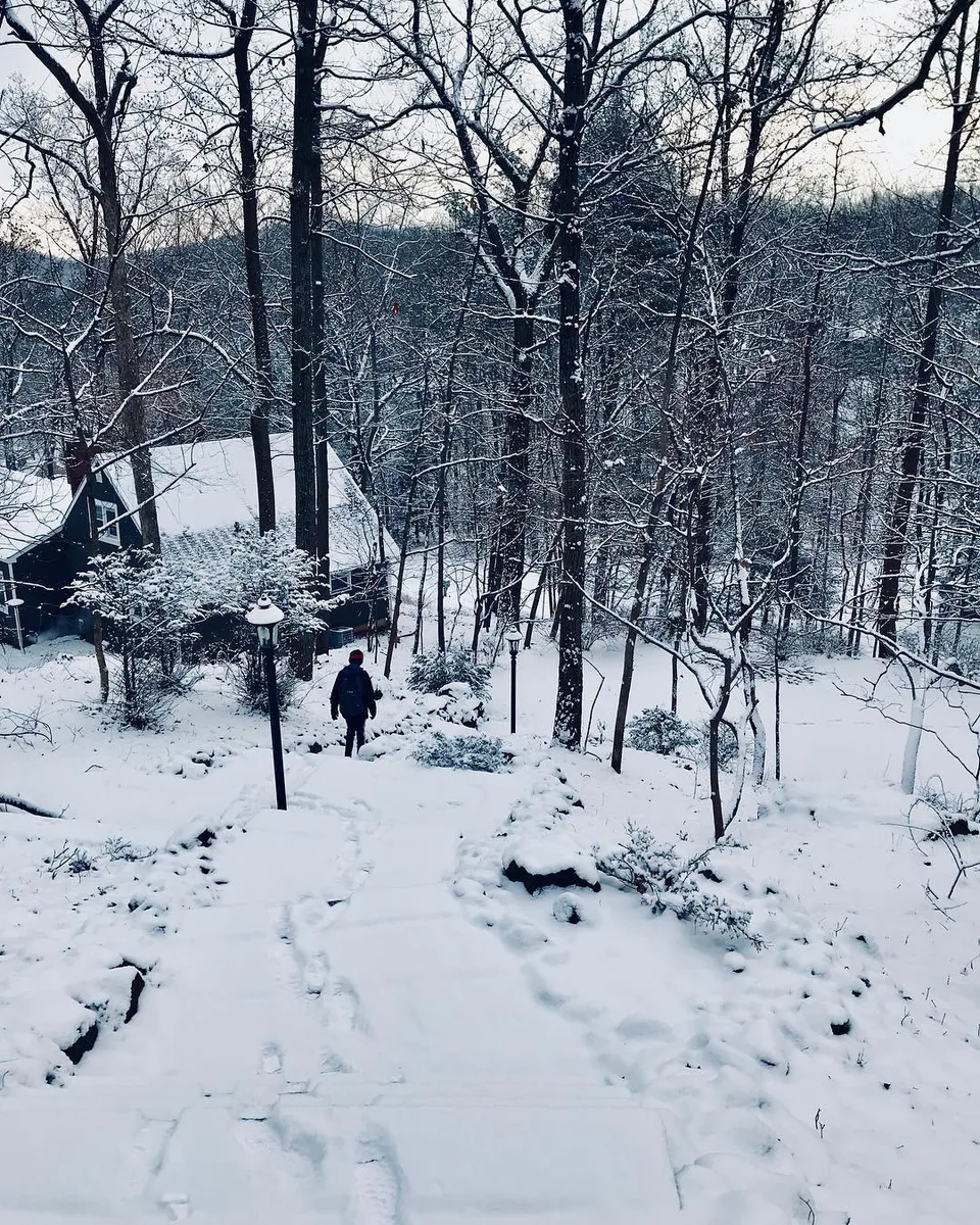 Walking down the path not walked on... #snow #morningwalk #footsteps…, 1 of 1