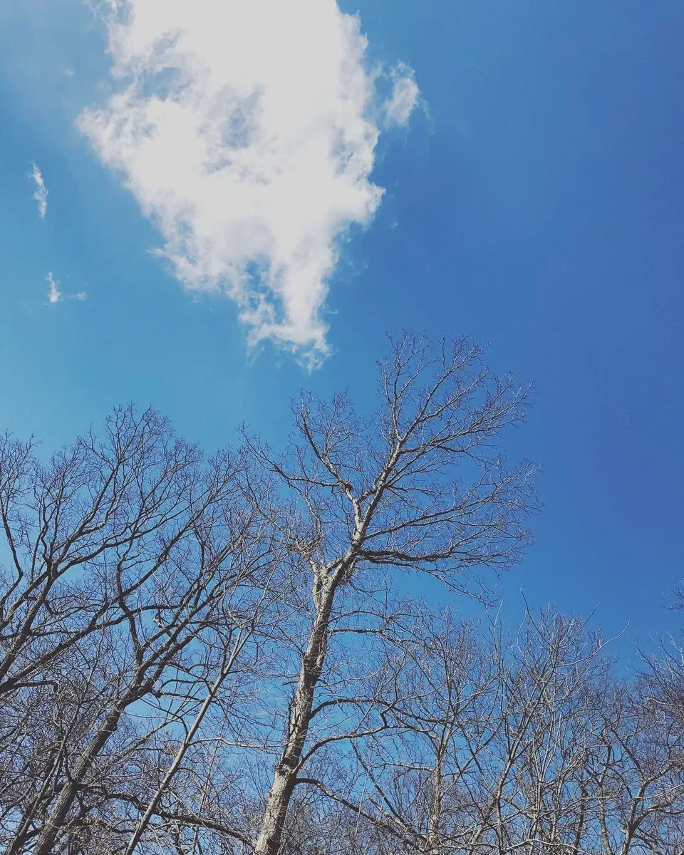 Here comes the sun... #liketherewasnostorm #stormpassed #blueskies #puffyclouds…, 1 of 1