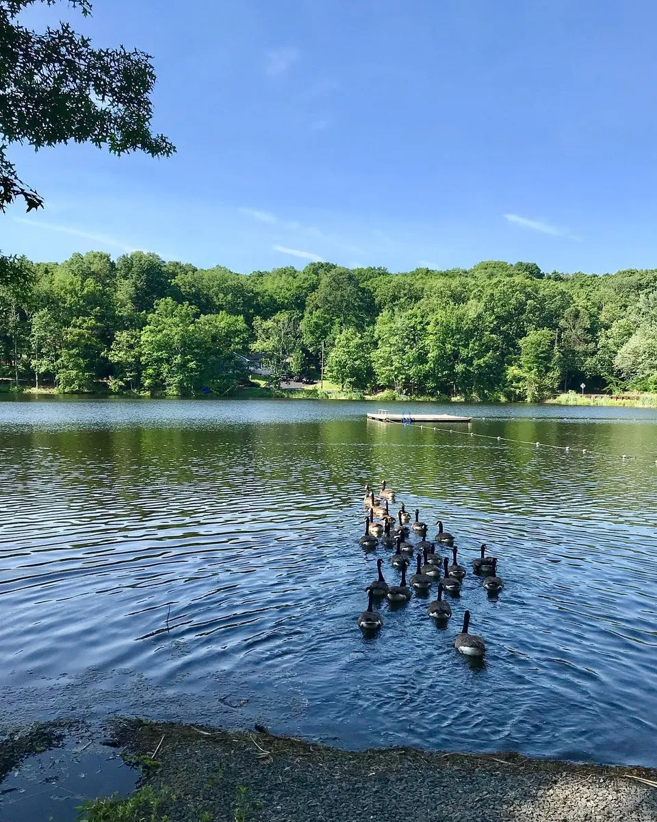 Yeah! Good day for a swim., 1 of 1