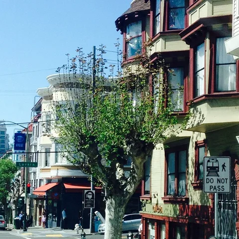 Colored abode, 1 of 1