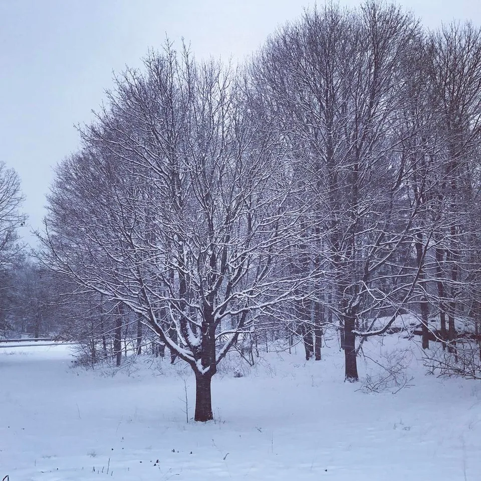 Look closely and you'll find a #heart hidden in there... #winterlove #snow…, 1 of 1