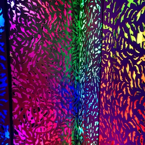 Color me wild!, 1 of 1