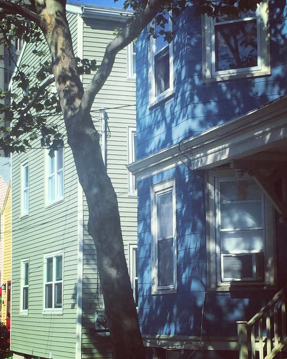 Colorful personalities #newenglandlife #europeaninfluence #cambridge #colorful…, 1 of 1