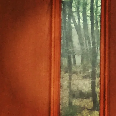 A peek is all I seek... Volumes it speaks... #earthday, 1 of 1