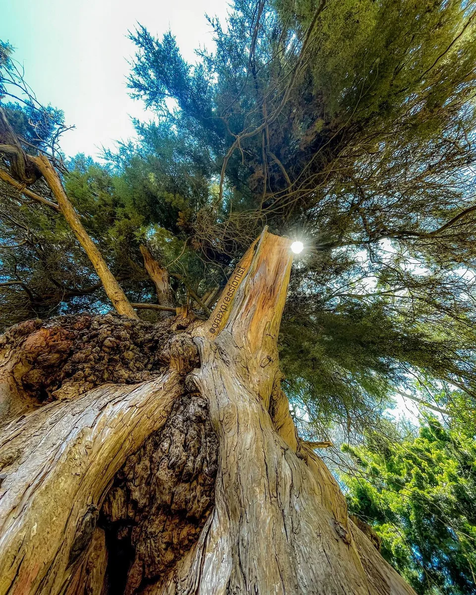 Sun and shade, 1 of 1