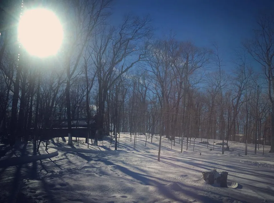 Here comes the sun! #blizzard2016 #snowzilla16 #afterthestorm, 1 of 1