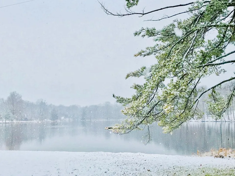 It’s a beautiful world., 1 of 1