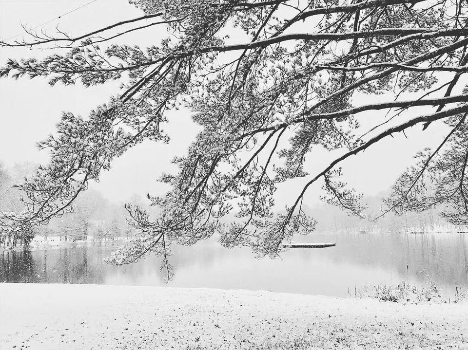 Let it snow... #firstsnow2017 #winterwonderland #lifebythelake…, 1 of 1