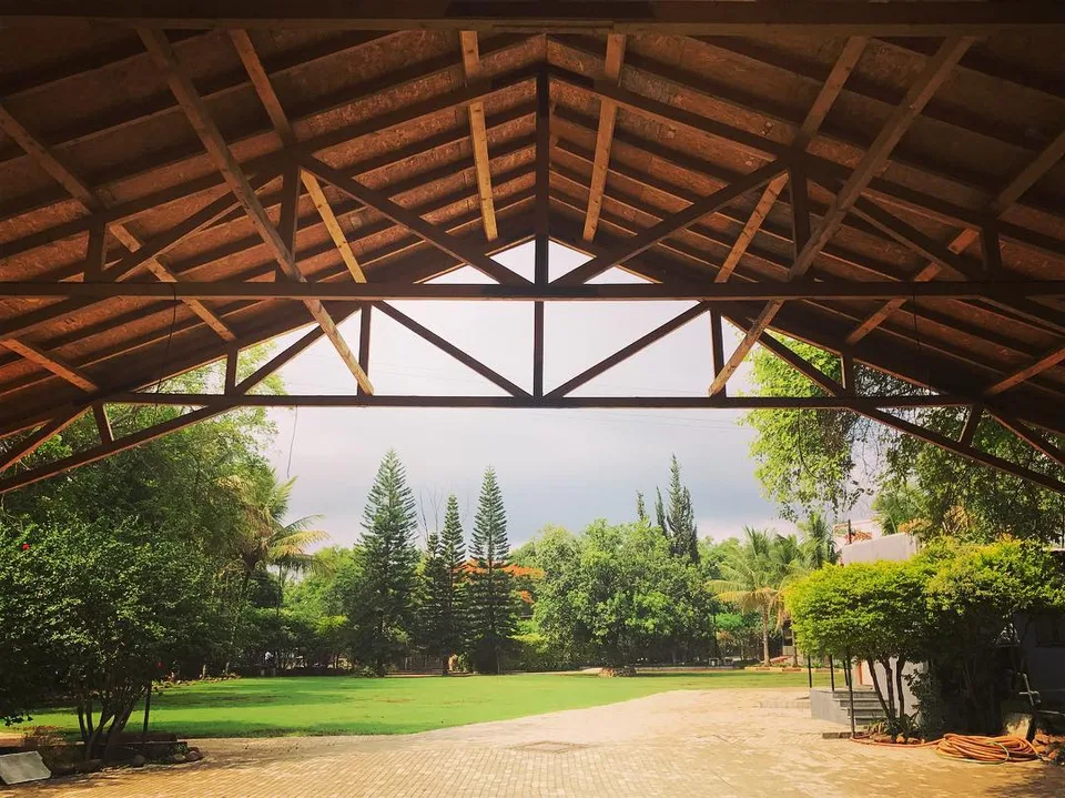 A vision from 20 years ago... coming true... #themangotree #pallodfarms…, 1 of 1