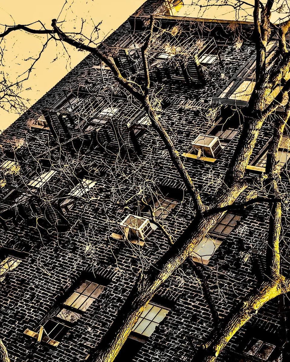 Winter’s around the corner..., 1 of 1