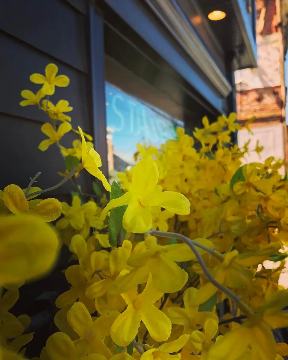 Inviting blossoms..., 1 of 1