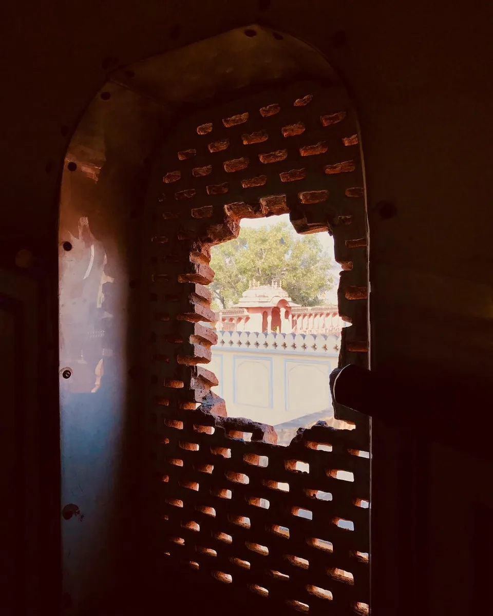Going to the roots..., 1 of 1